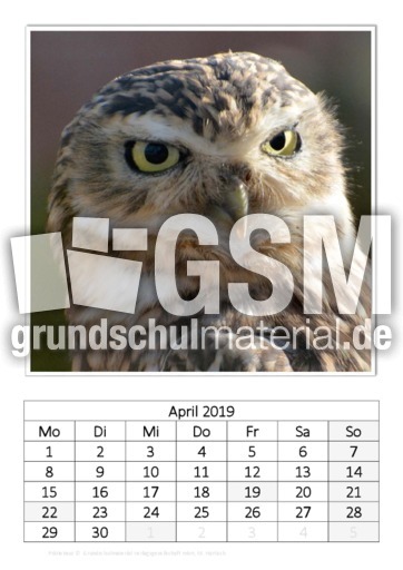April_Präriekauz.pdf